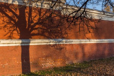 Ahşap ve dalları bir gölge ile eski tuğla duvar