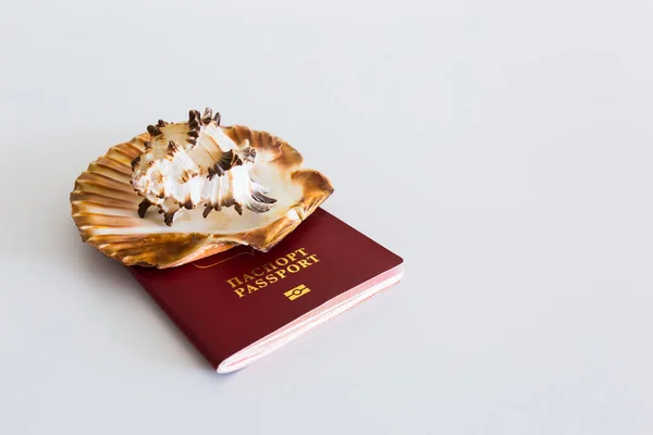 Паспорт Светлом Фоне Оболочкой — стоковое фото