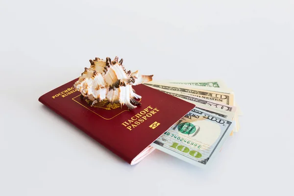 Паспорт Светлом Фоне Оболочкой Американским Долларом — стоковое фото