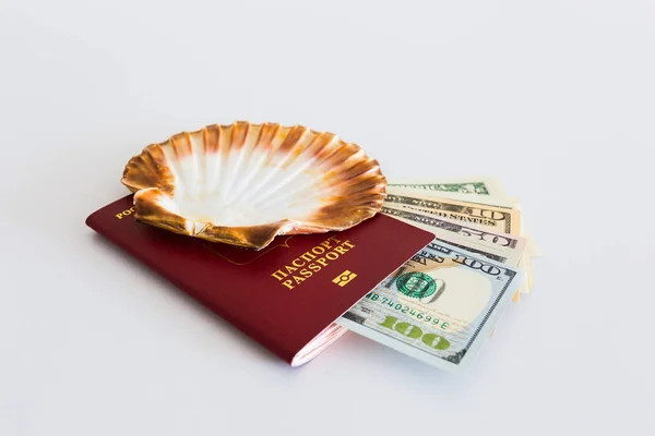 Паспорт Светлом Фоне Оболочкой Американским Долларом — стоковое фото