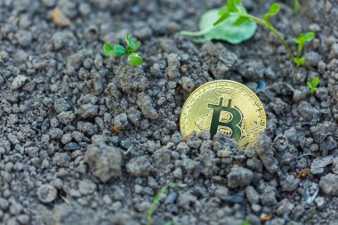 Altın Bitcoin toprağa