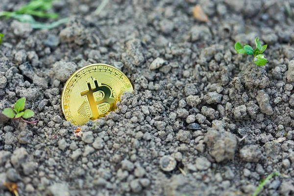 Gold Bitcoin in the ground — Stock Photo, Image