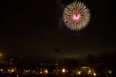Moskova'da karanlık gökyüzünde güzel havai fişek
