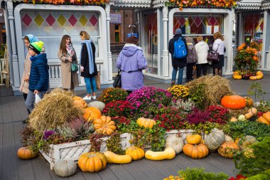 Moskova, Rusya - 04 Ekim 2017: Mo Festivali Altın Sonbahar
