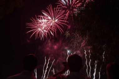 İnsanlar havai fişek parkta izlerken