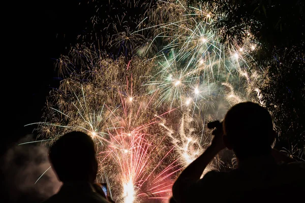 People watch fireworks in the Park on independence day — Stock Photo, Image