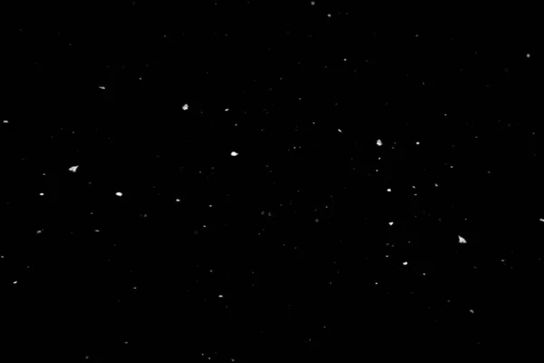 Abstrakti Musta Tausta Lumisateella — kuvapankkivalokuva