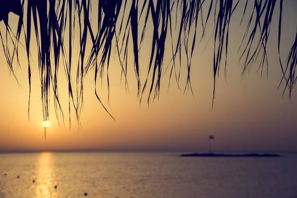 热带海滩的日落天空与棕榈树 — 图库照片