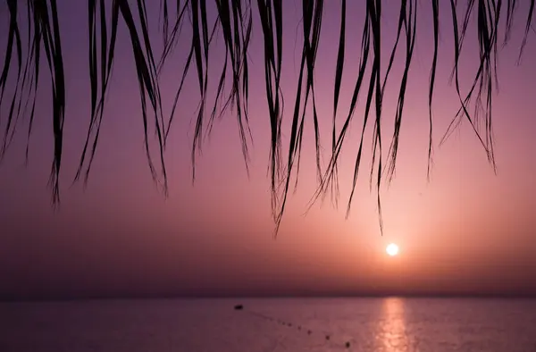 红色紫色日落天空在热带海滩与棕榈树 — 图库照片