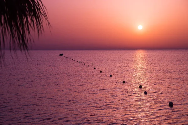 红色紫色日落天空在热带海滩与棕榈树 — 图库照片