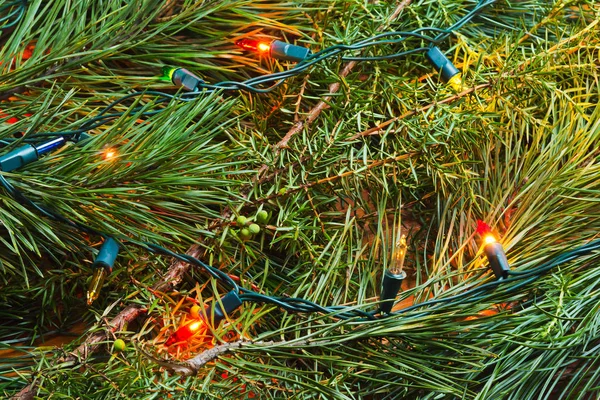 Albero Natale Verde Ramo Abete Con Ghirlanda Illuminata Luce Bubs — Foto Stock