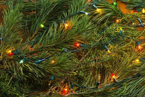 Green Christmas Tree Fir Branch Illuminated Garland Light Bubs — Stock Photo, Image