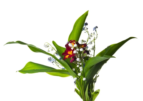 Studio Shot Flowers Bouquet — Stock Photo, Image