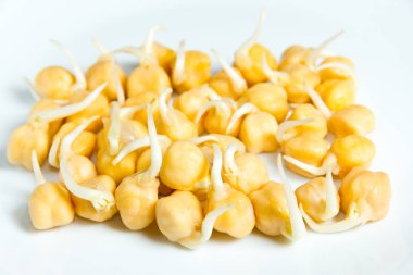 Filizlenmiş sarı nohut tohumu