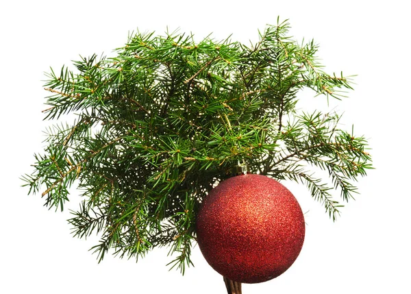 Green Pine Branch Red Ball Toy Decoration White Background — Stock Photo, Image