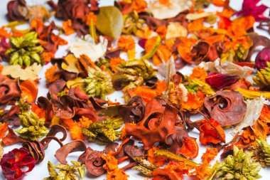 Bitkilerin dağınık kurutulmuş parçaları.