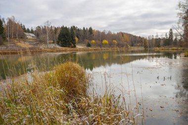 Sonbahar sabahı gölet ve ağaçlar Rus görünümü, sakin kırsal sahne