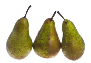 yeşil elma beyaz üzerine izole