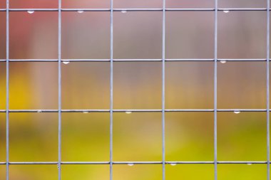 Yağmur damlaları ile bulanık doğal arka plan üzerinde Demir örgü