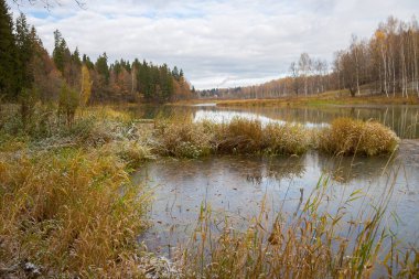 Sonbahar sabahı gölet ve ağaçlar Rus görünümü, sakin kırsal sahne