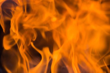 turuncu alev dilleri