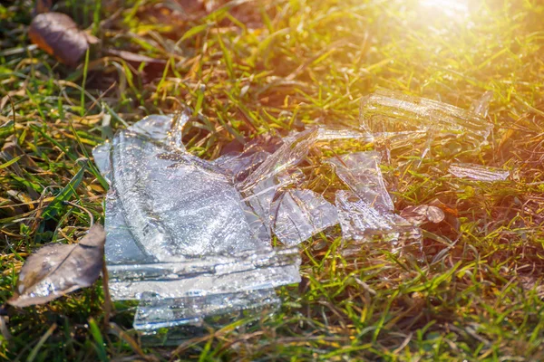 Shards of broken ice on the grass