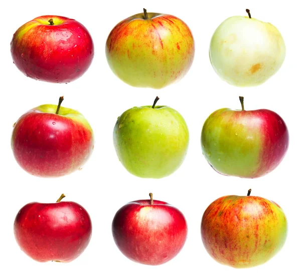 Der Satz Von Äpfeln Isoliert Auf Weißem Hintergrund — Stockfoto