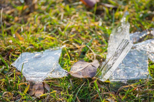 Shards of broken ice on the grass