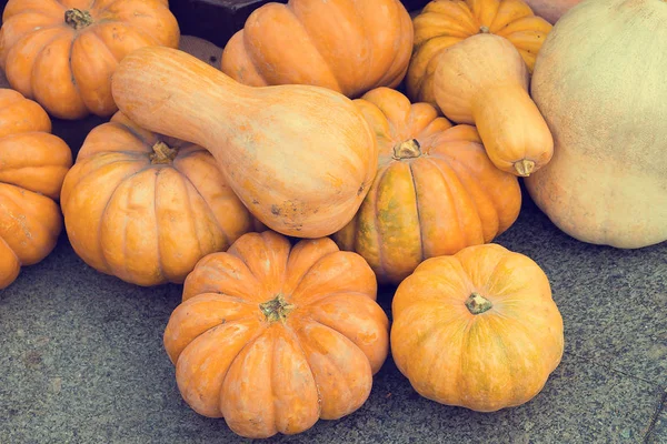 Arrangement of pumpkins on the street. Preparing for Halloween — Stock Photo, Image