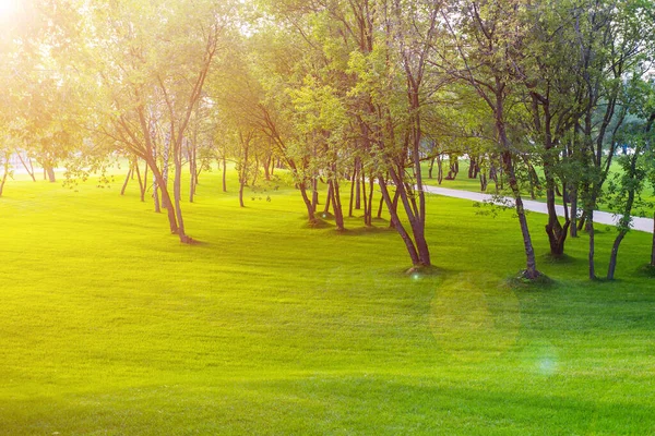 Green Park Com Árvores Gramado Perto Centro Entretenimento Ilha Dos — Fotografia de Stock