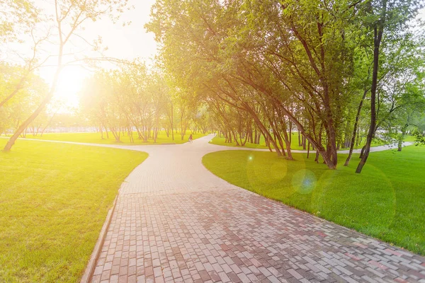 Parco Verde Con Alberi Prato Vicino Centro Intrattenimento Isola Dei — Foto Stock