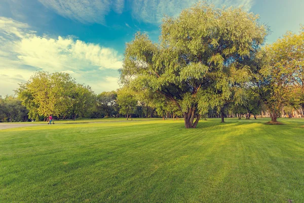 Parco Verde Con Alberi Prato Vicino Centro Intrattenimento Isola Dei — Foto Stock