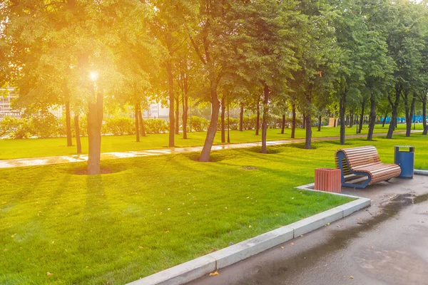 Parco Verde Con Alberi Prato Vicino Centro Intrattenimento Isola Dei — Foto Stock