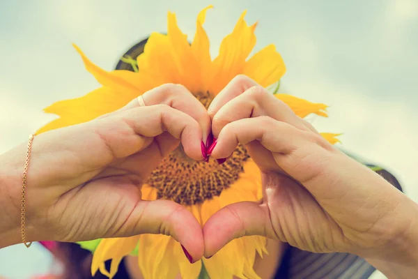 Girl Makes Heart Her Fingers Background Sunflower Inflorescence Summer Positive — Stock Photo, Image