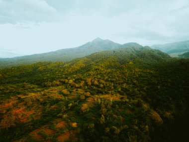 Tambora Dağı, Bima, Endonezya