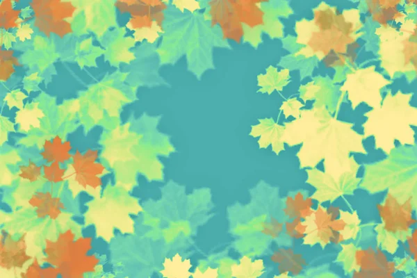 Φθινοπωρινή Φαντασίωση Της Σφηνοειδούς Φύλλα — Φωτογραφία Αρχείου