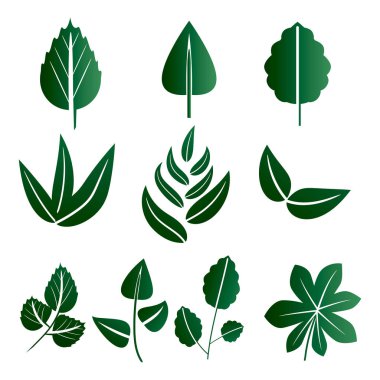 fırçalar için yeşil dallarda farklı yapraklar