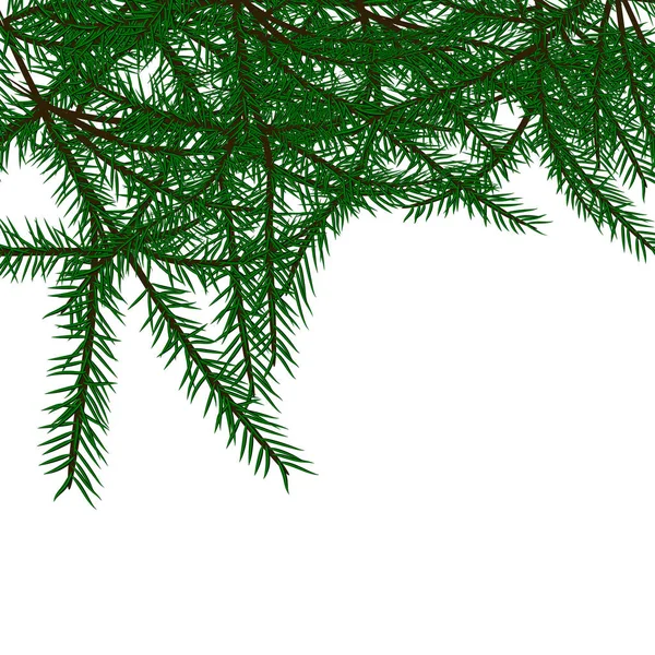 在白色背景上的冷杉树枝 用于具有风景的设计 — 图库矢量图片