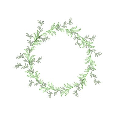 tasarım ve arka planlar için hassas yeşil dalları nã1/4zã1/4k