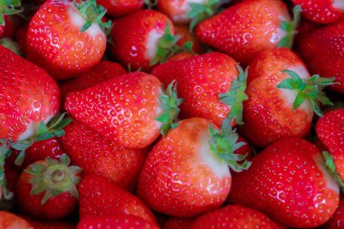 Güneşli bir günde yakın çekim Olgun çilek. Pazarda çilek. Doku