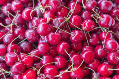 Güneşli bir günde olgun tatlı kiraz. Pazarda çilek. Doku