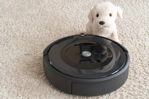 Robot vacuum cleaner with a dog on a clean beige carpet. The concept of cleanliness and comfort at home.