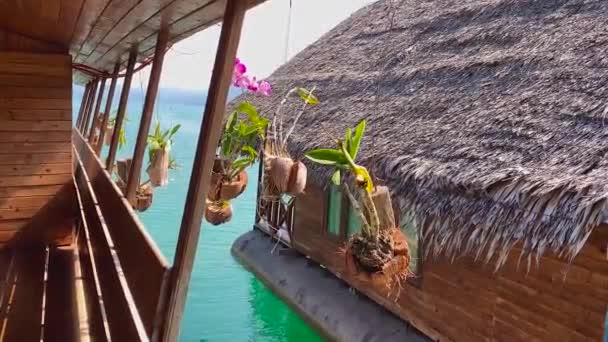 Orchideen in Töpfen hängen auf der Veranda des Hauses mit Blick auf das Meer. orhdeas schwanken durch den Wind in der Nähe des Ozeans. Reisekonzept.