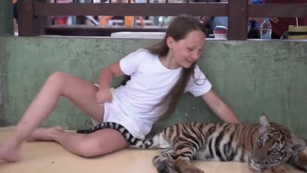 Menina Bonita Acaricia Filhote Tigre Sorri Conceito Viagem — Vídeo de Stock