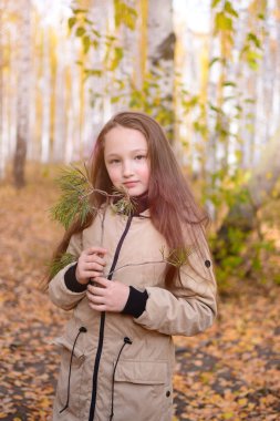 Sonbahar ormanında duran uzun saçlı bir kızın portresi. Sarı sonbahar ormanı bir arka plan karşı ceket genç kız