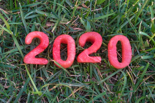 Šťastný nový rok 2020. Obrázek 2020 z melounu na trávě — Stock fotografie