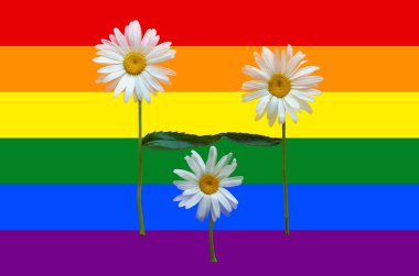 Çiçek ailesi-baba, anne ve çocuklar. Ebeveynler ve çocuk. Aşık bir çift. Aynı seks evliliği tarafından çocukların benimsenmesi kavramı. Gay bayrağı arka planda yalıtılmış nesneler