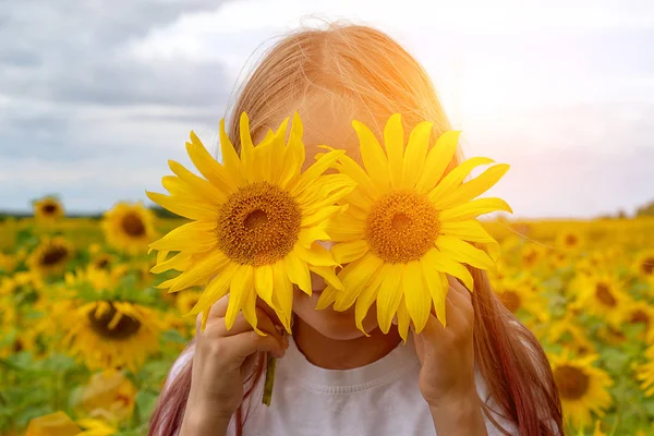Sunflowers eyes. Adorable little girl holding Sunflowers in eyes like binoculars in the garden.