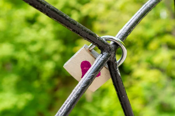 Låset, en symbol för kärlek och lojalitet, hänger på järnstänger. Rött hjärta målat på låset. En bit järn träd med Kärlekslås i parken. Begreppet kärlek och lojalitet — Stockfoto