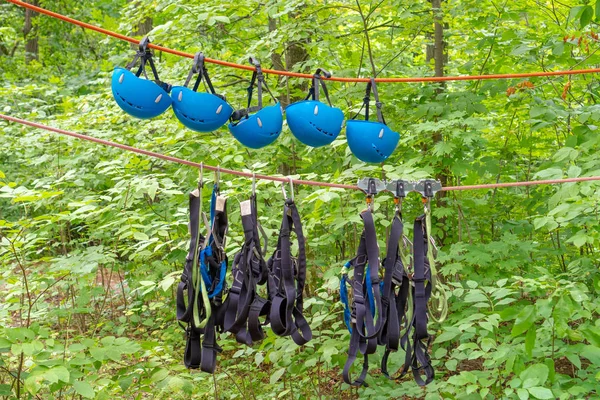 Set de haine pentru copii pentru alpinism sport în aer liber pe un copac . — Fotografie, imagine de stoc